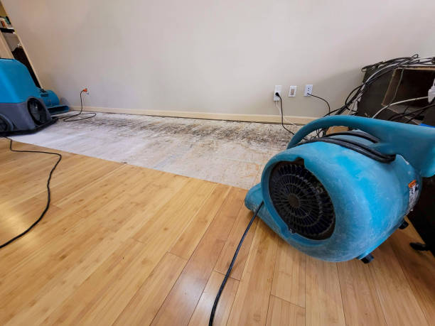 Professional Flood Damage Cleanup technician working in Petersburg, TN